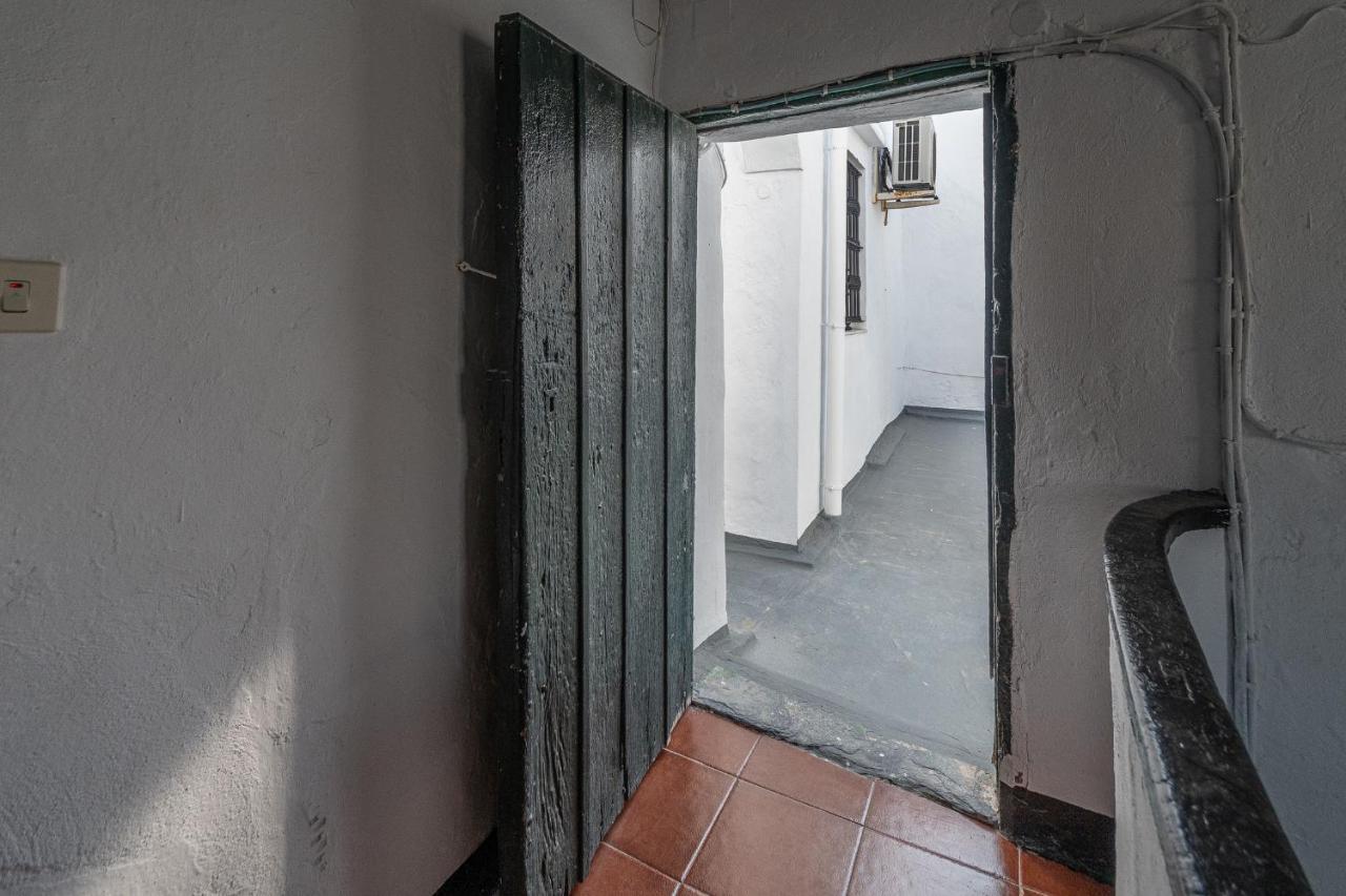 Terraza Estampa De Appartement