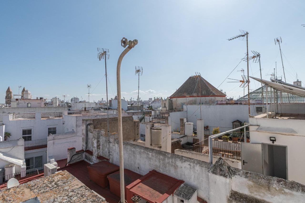 Appartement Terraza Estampa De *